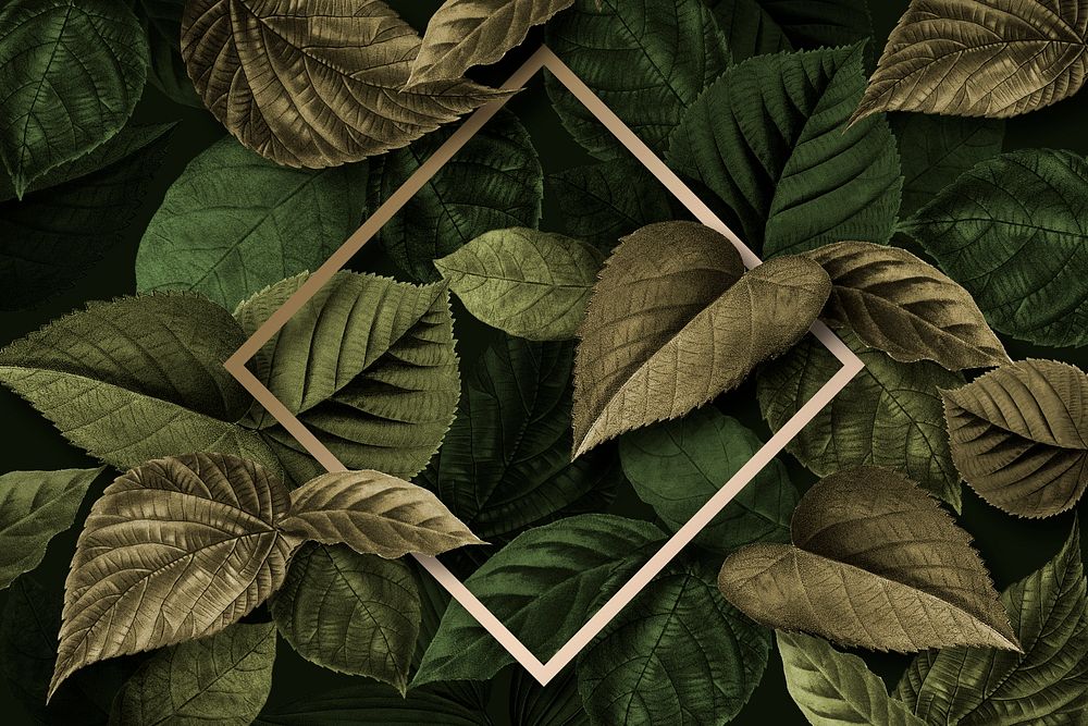 Gold rhombus frame on a metallic green leaves textured background