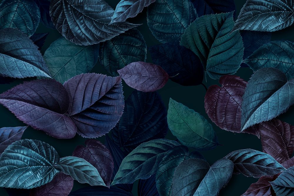 Bluish Plant Leaves Textured Background