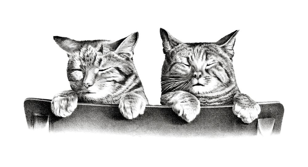 Cats by Thomas Hunter. Original from Library of Congress. Digitally enhanced by rawpixel.
