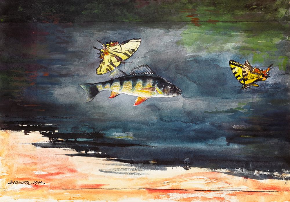 Fish and Butterflies (1900) by Winslow Homer. Original from The Clark Art Institute. Digitally enhanced by rawpixel.by…