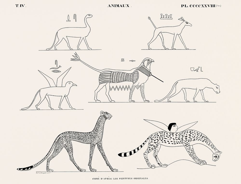 Vintage illustration of Animals copied from the original paintings from Monuments de l'&Eacute;gypte et de la Nubie