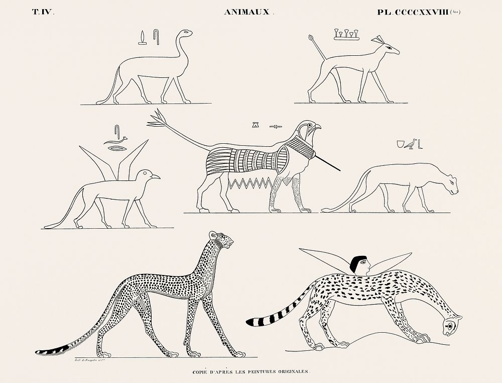 Animals copied from the original paintings from Monuments de l'&Eacute;gypte et de la Nubie (1835&ndash;1845) by Jean…