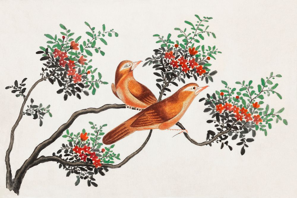 Chinese painting featuring birds of China (ca.1800&ndash;1899) from the Miriam and Ira D. Wallach Division of Art, Prints…
