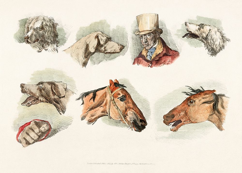 Vintage illustration showing heads of dogs, horses and head of a man from Sporting Sketches (1817-1818) by Henry Alken (1784…
