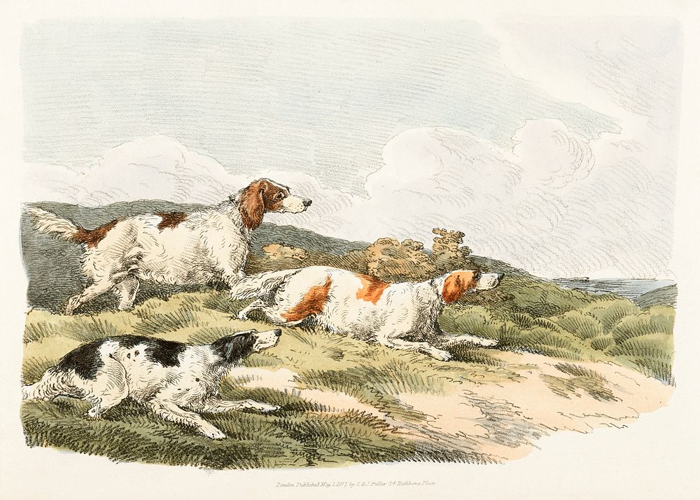 Illustration of running hounds from Sporting Sketches (1817-1818) by Henry Alken (1784-1851). Original from The New York…