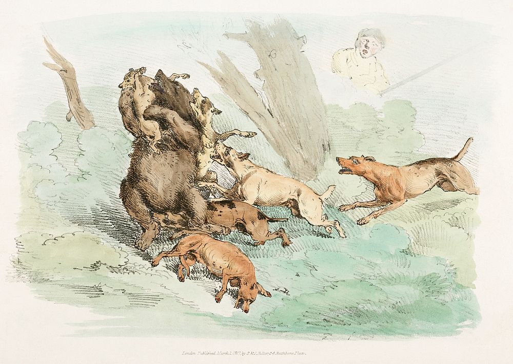 Illustration of hunting dogs attacking a bear from Sporting Sketches (1817-1818) by Henry Alken (1784-1851). Original from…
