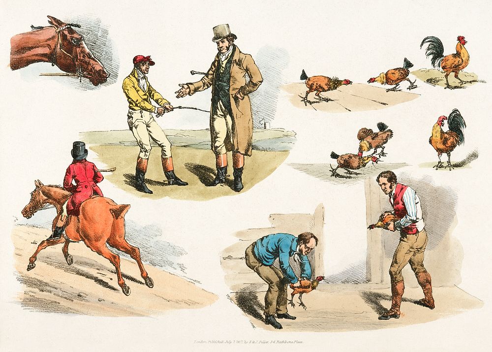 Illustration of gamecocks from Sporting Sketches (1817-1818) by Henry Alken (1784-1851). Original from The New York Public…