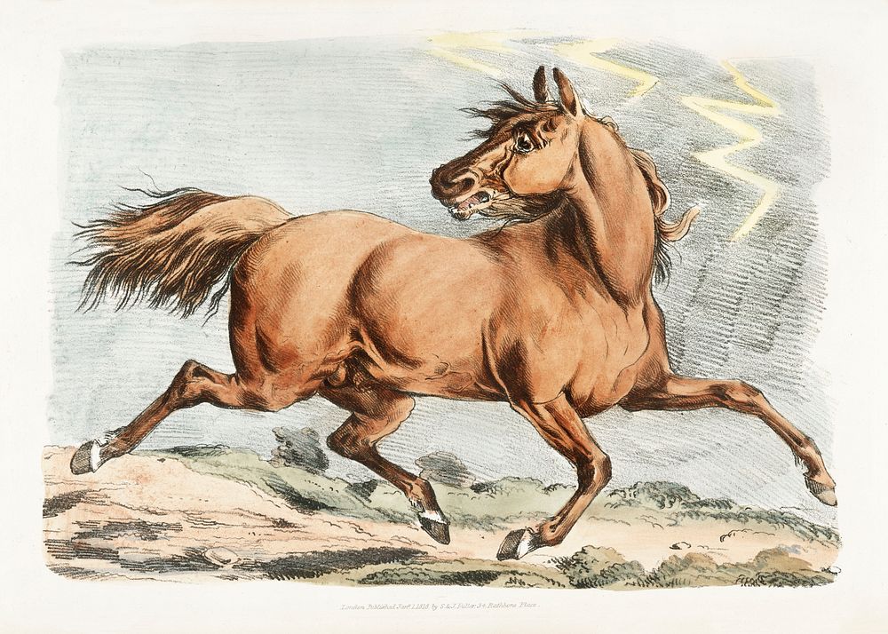 Illustration of a brown horse running from Sporting Sketches (1817-1818) by Henry Alken (1784-1851). Original from The New…