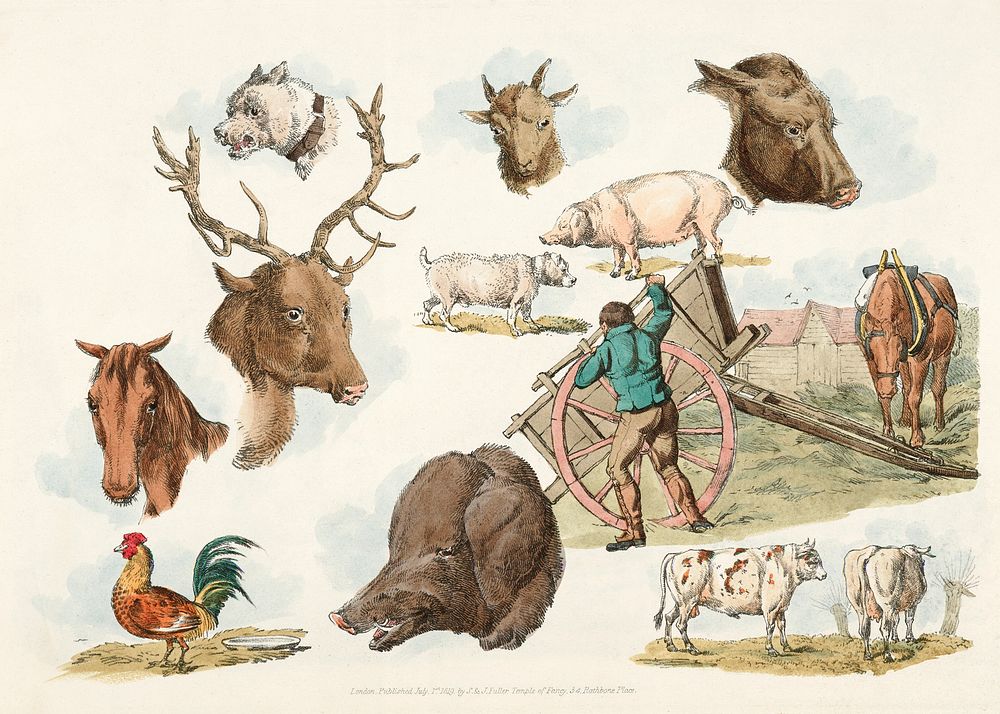 Illustration of heads of domestic and wild animals and full figure of a dog, pig, horse, cows and a cock; a working farmer…