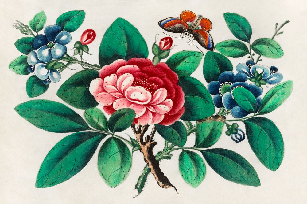 Chinese painting featuring flowers and butterfly (ca.1800&ndash;1899) from the Miriam and Ira D. Wallach Division of Art…