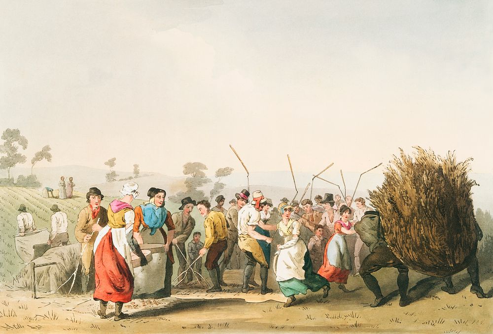 Illustration of rape threshing from The Costume of Yorkshire (1814) by George Walker (1781-1856). Original from The New York…