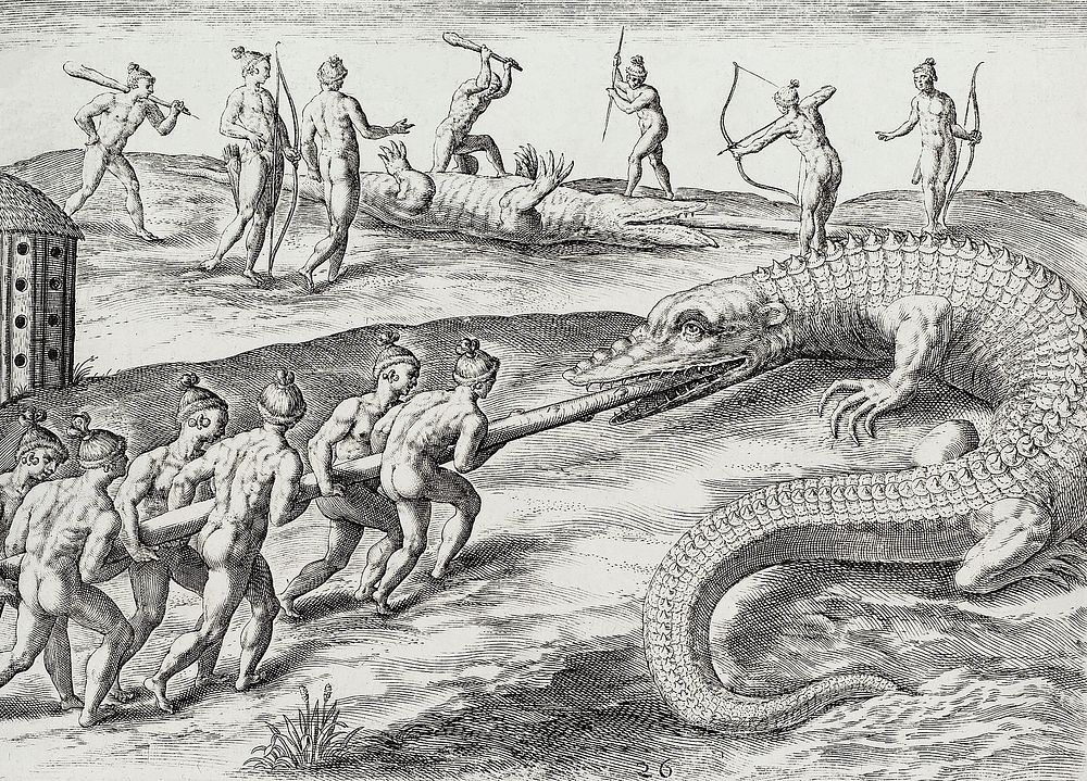 Crocodile hunting illustration from Grand voyages (1596) by Theodor de Bry (1528-1598). Original from The New York Public…
