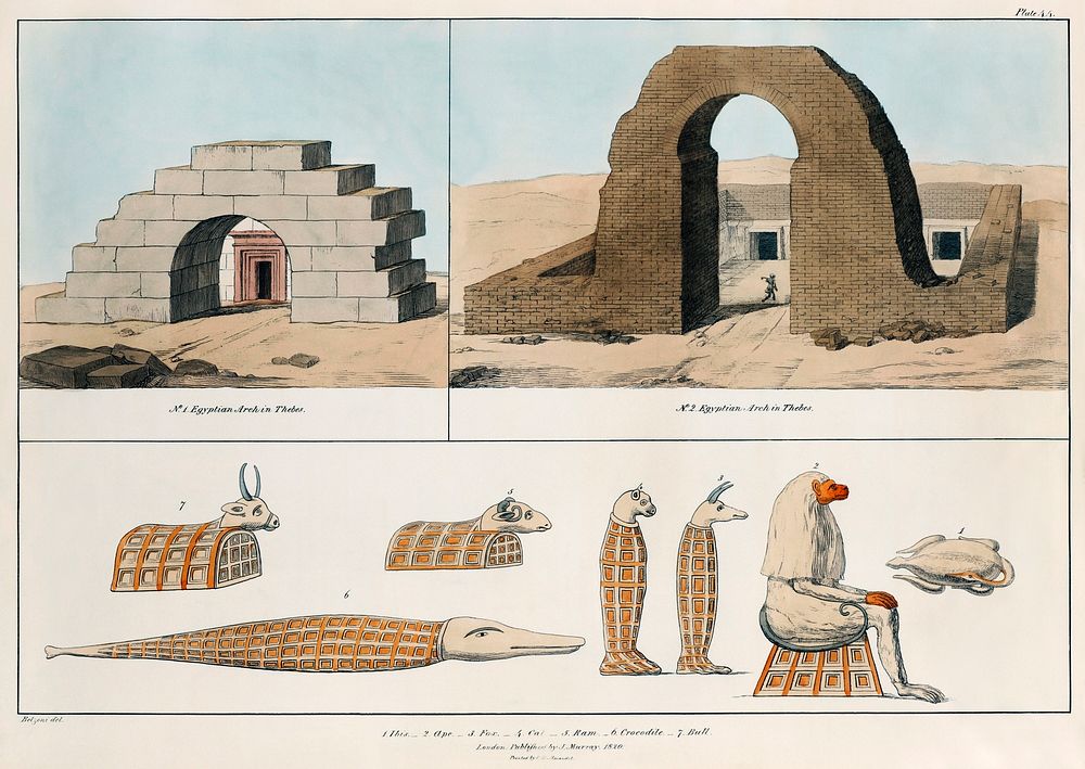 Egyptian Arches, Existing in Thebes, and several animal Mummies illustration from the kings tombs in Thebes by Giovanni…
