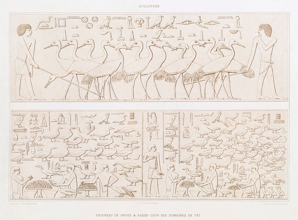 Herd of cranes & Barnyard in area of Tei from Histoire de l'art &eacute;gyptien (1878) by &Eacute;mile Prisse d'Avennes.…