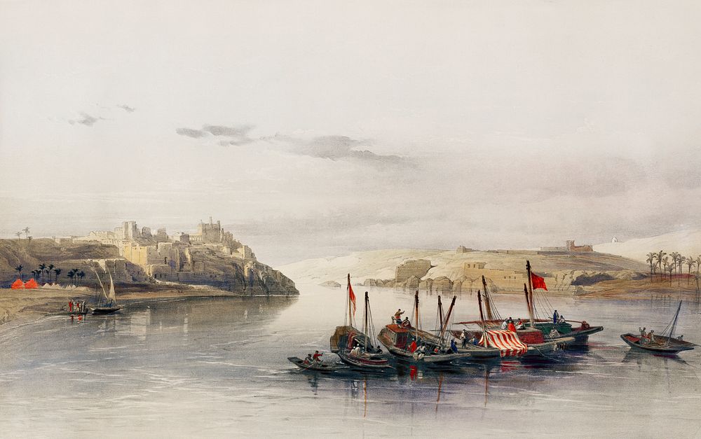 General view of Esouan and the Island of Elephantine illustration by David Roberts (1796&ndash;1864). Original from The New…