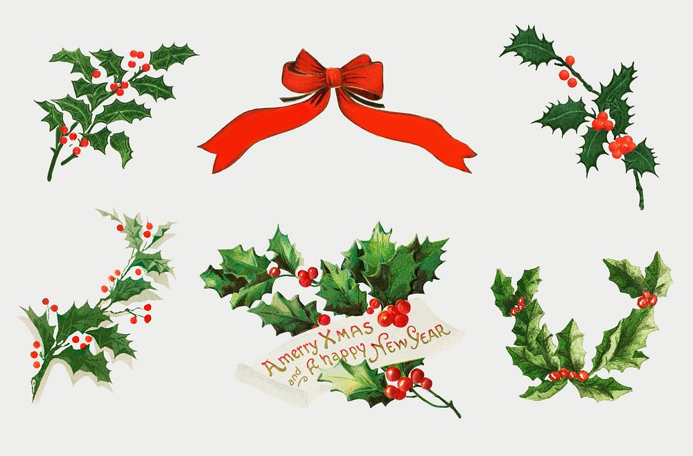 Vintage holly illustrations collection