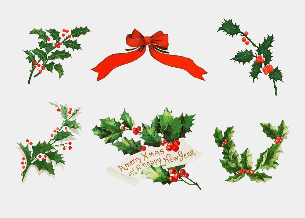 Vintage holly vector collection