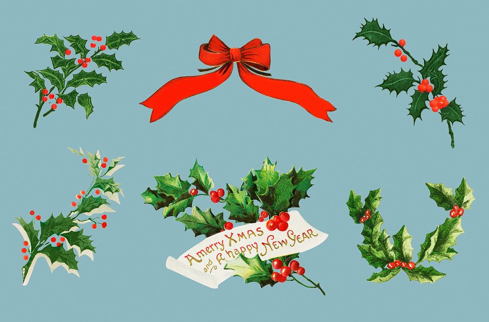 Vintage holly vector collection