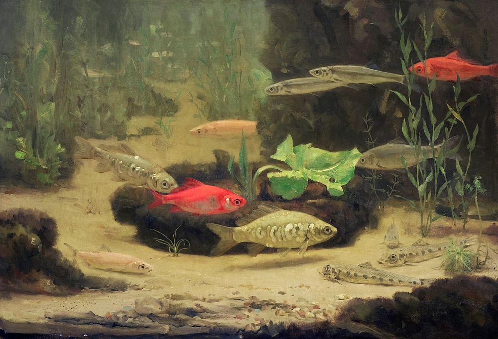 Gold- and Silverfish in an Aquarium (1890&ndash;1922) painting in high resolution by Gerrit Willem Dijsselhof. Original from…