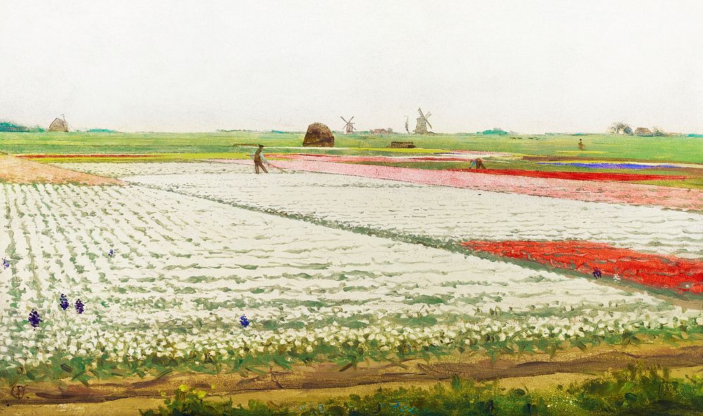 Tulip Fields (1890–1922) painting in high resolution by Gerrit Willem Dijsselhof. Original from the Rijksmuseum. Digitally…