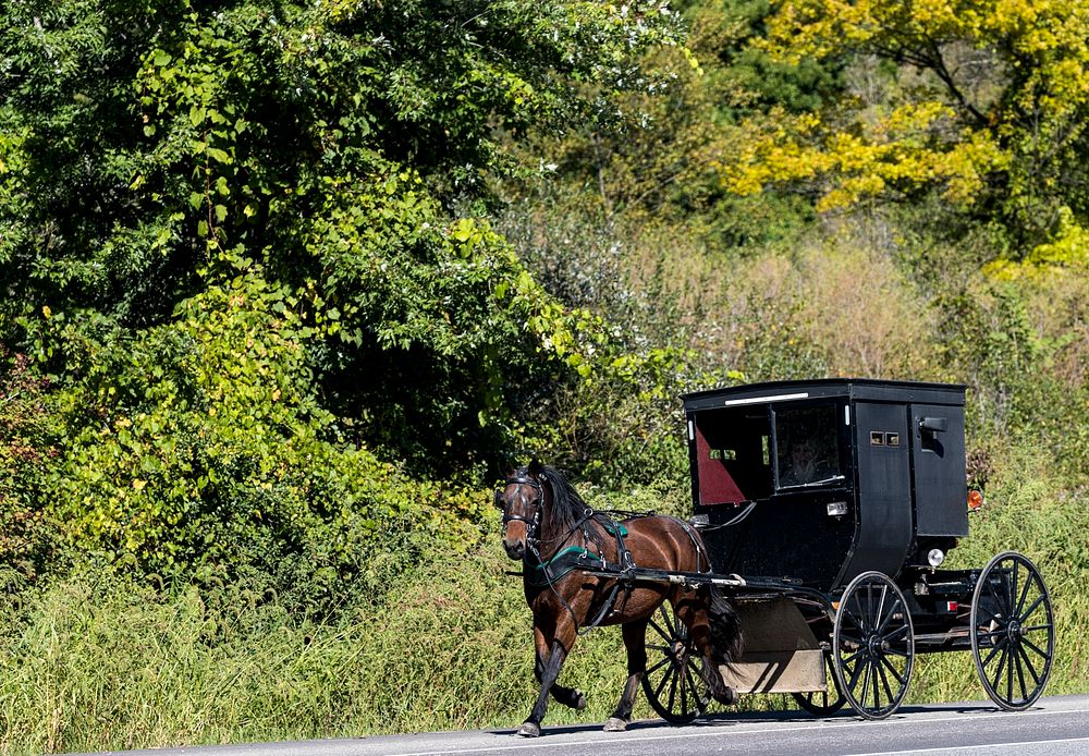 Horse with buggy in Amish country. Original image from Carol M. Highsmith&rsquo;s America, Library of Congress collection.…