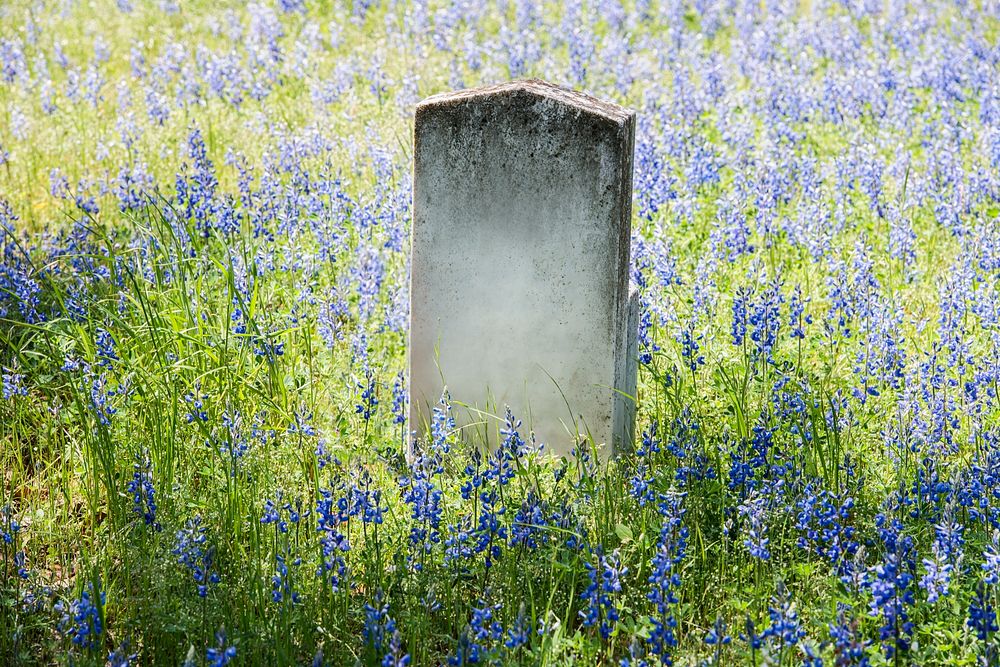 Headstone in field of flowers. Original image from Carol M. Highsmith&rsquo;s America, Library of Congress collection.…