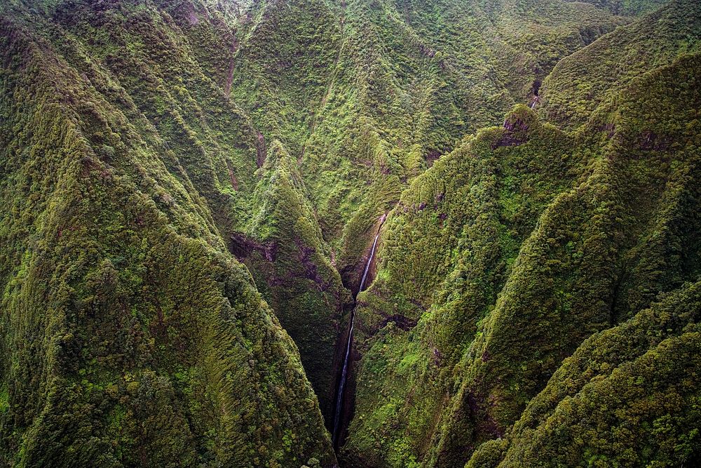 Waterfall in the mountains of Hawaii. Original image from Carol M. Highsmith&rsquo;s America, Library of Congress…