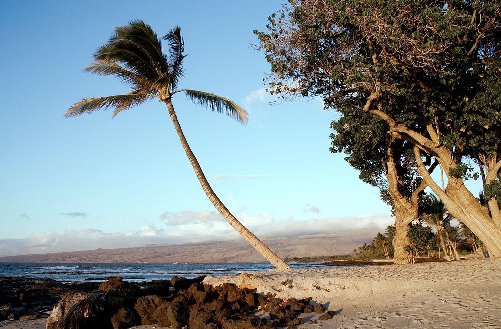 Beach scene on the island of Oahu, Hawaii. Original image from Carol M. Highsmith&rsquo;s America, Library of Congress…