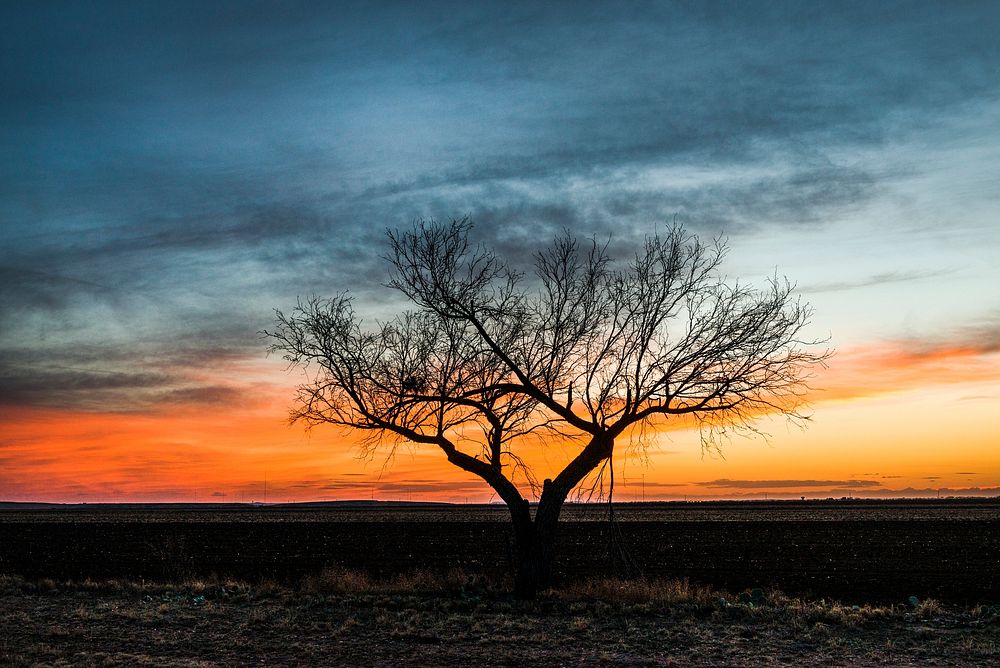 Sunset scene in rural Tom Green County, Texas, northeast of San Angelo. Original image from Carol M. Highsmith&rsquo;s…