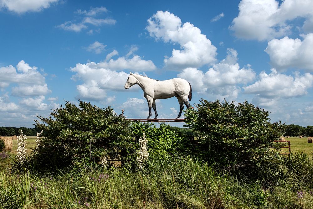 White horse statue. Original image from Carol M. Highsmith&rsquo;s America, Library of Congress collection. Digitally…