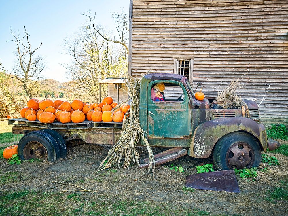 Flatbed truck loaded with pumpkins at Harvest Farm in Valle Crucis, North Carolina. Original image from Carol M.…