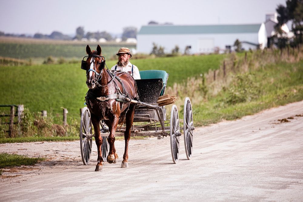 Amish in Washington County, Iowa. Original image from Carol M. Highsmith&rsquo;s America, Library of Congress collection.…