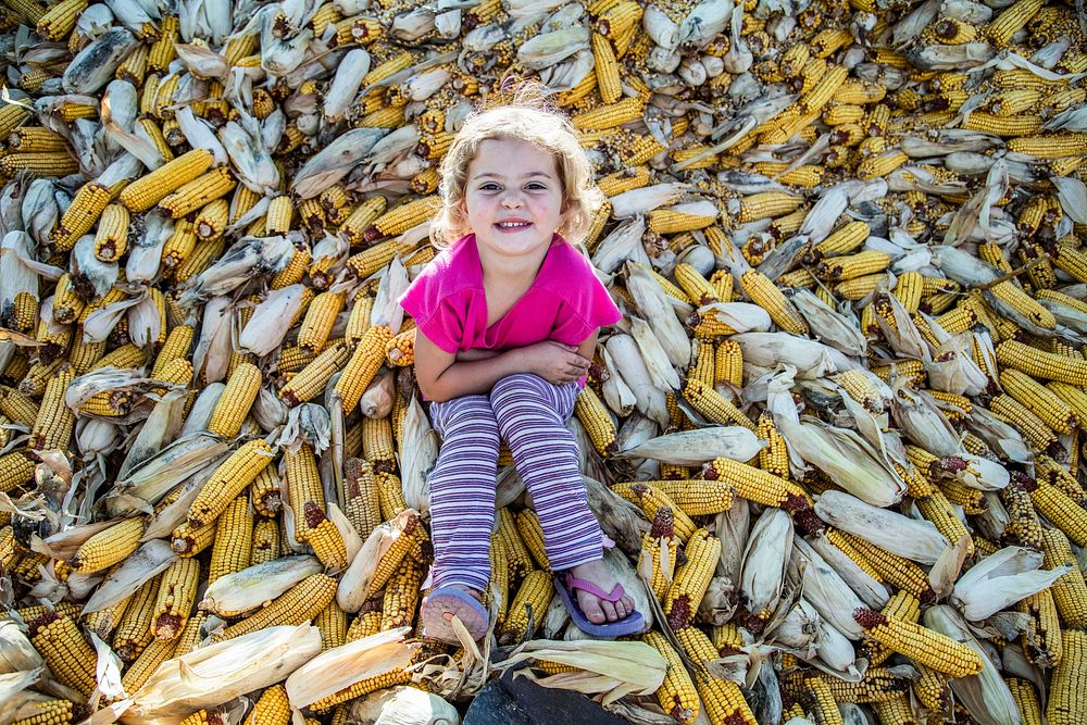 Girl on the corncrib at the Dunnum Family's Top of the Town dairy farm in Vernon County, Wisconsin. Original image from…