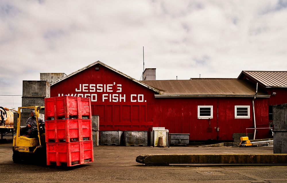Jesse's Fish Co. in Ilwako, Washington. Original image from Carol M. Highsmith&rsquo;s America, Library of Congress…