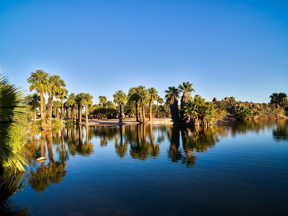 Palm-lined pond in Papago Park, a mountainside park in the middle of booming Phoenix, Arizona. Original image from Carol M.…