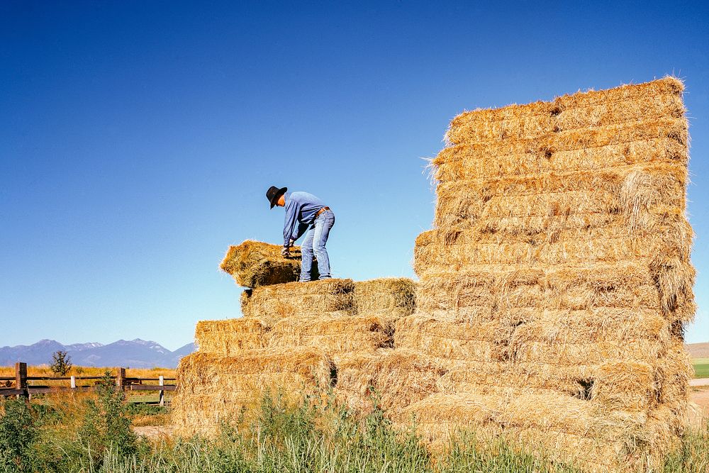 Farmer loading hay in Western Oregon. Original image from Carol M. Highsmith’s America, Library of Congress collection.…