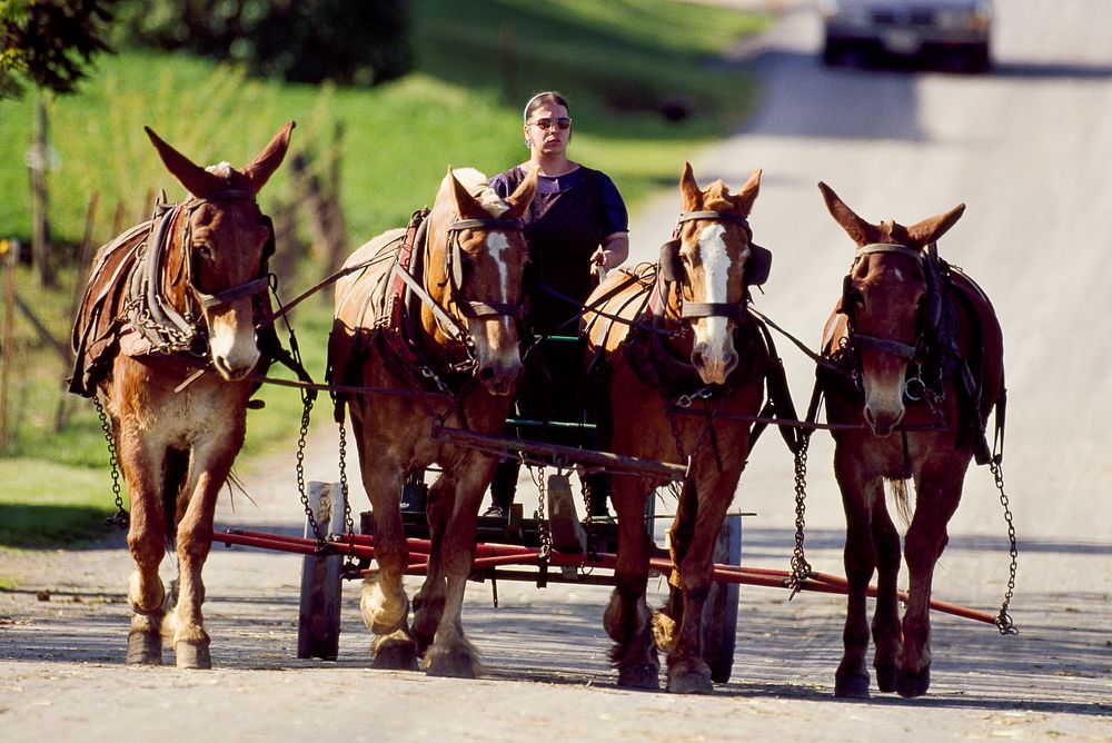 Amish life in Lancaster, Pennsylvania. Original image from Carol M. Highsmith&rsquo;s America, Library of Congress…