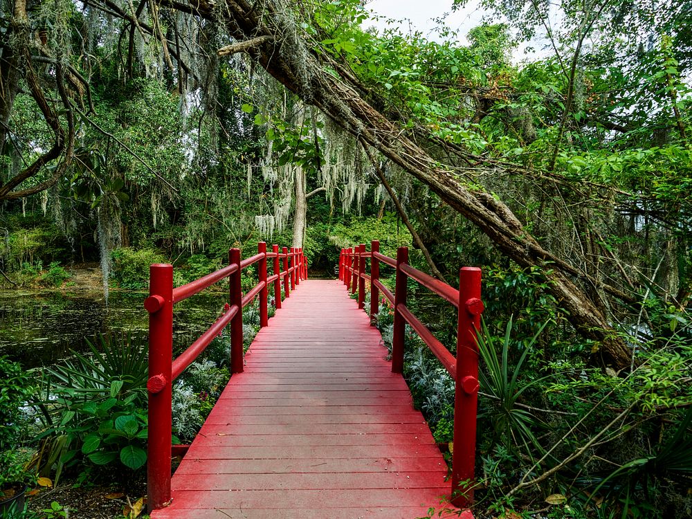 Bridge at the Magnolia House and Gardens plantation site in North Charleston, South Carolina. Original image from Carol M.…