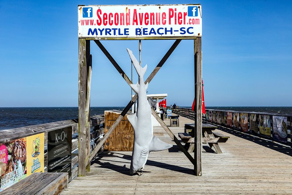 Second Avenue Pier in Myrtle Beach, South Carolina. Original image from Carol M. Highsmith&rsquo;s America, Library of…