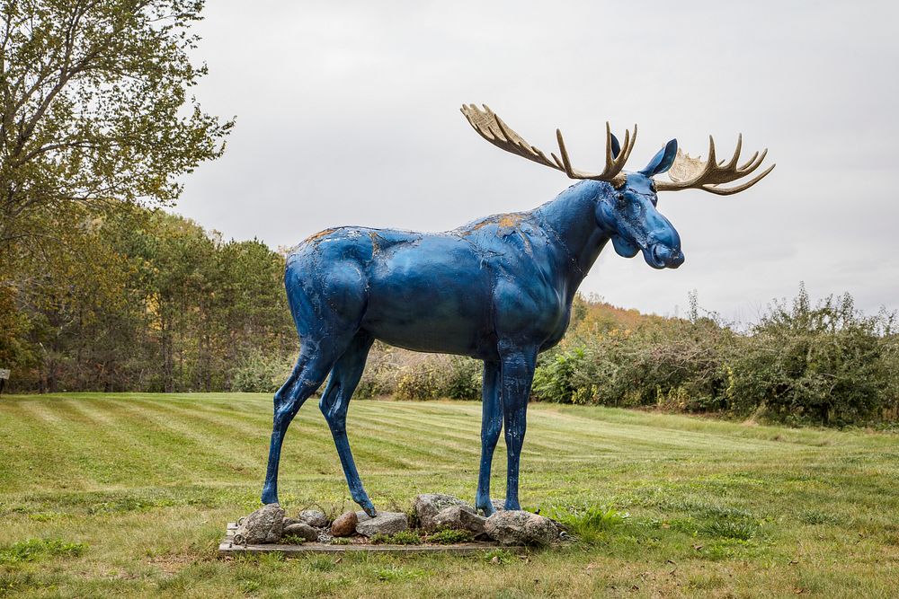 Life-sized blue moose in a yard in Union, Maine. Original image from Carol M. Highsmith&rsquo;s America, Library of Congress…