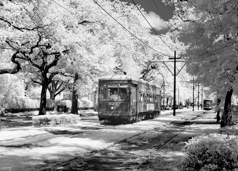 Infrared view of a streetcar on St. Charles Avenue in New Orleans. Original image from Carol M. Highsmith&rsquo;s America…