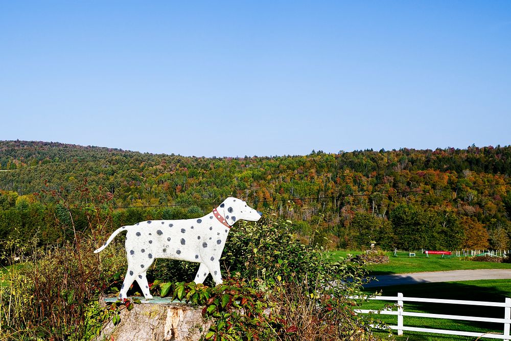 Dalmatian figure at Dog Chapel in St. Johnsbury, Vermont. Original image from Carol M. Highsmith&rsquo;s America, Library of…
