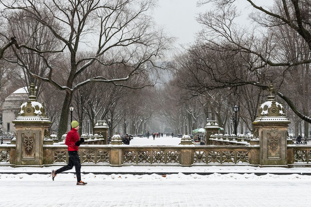 Man jogging in wintery Central Park, New York city. Original image from Carol M. Highsmith&rsquo;s America, Library of…