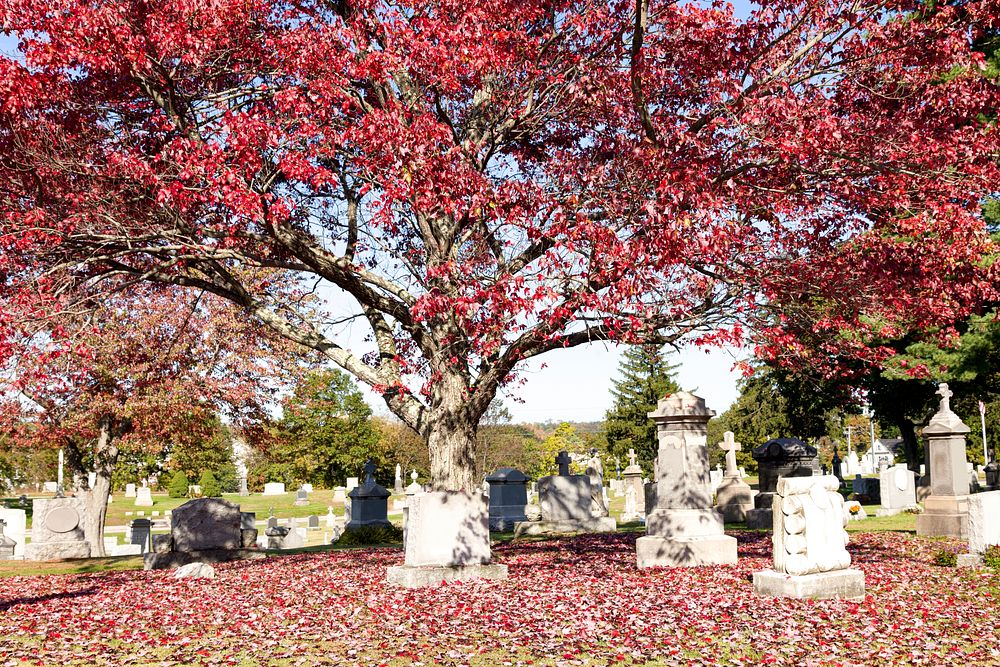 St. John Cemetery, Darien, Connecticut. Original image from Carol M. Highsmith&rsquo;s America, Library of Congress…