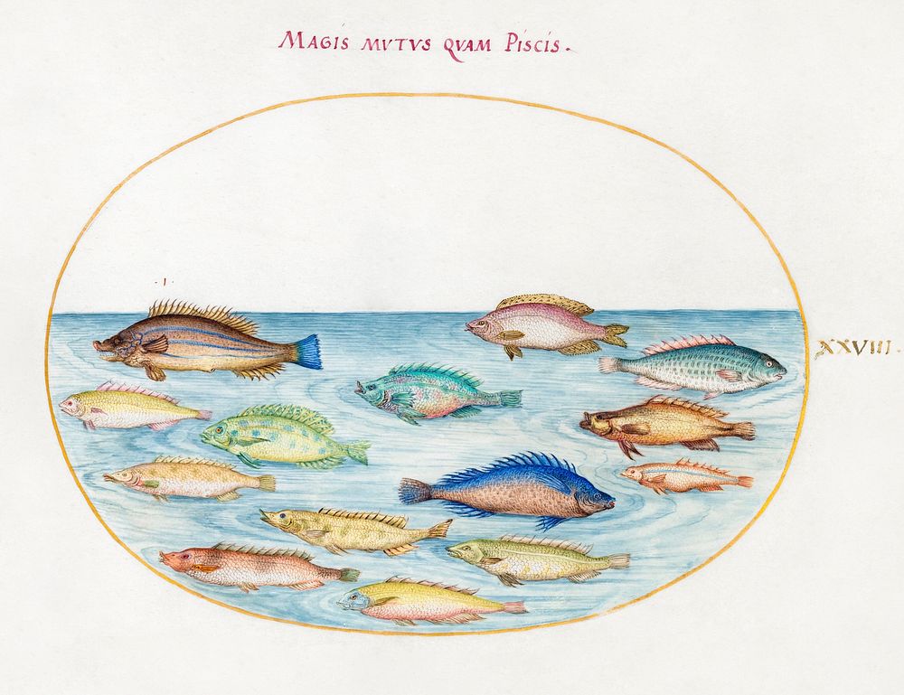 Sea Bream and Other Fish (1575&ndash;1580) painting in high resolution by Joris Hoefnagel. Original from The National…