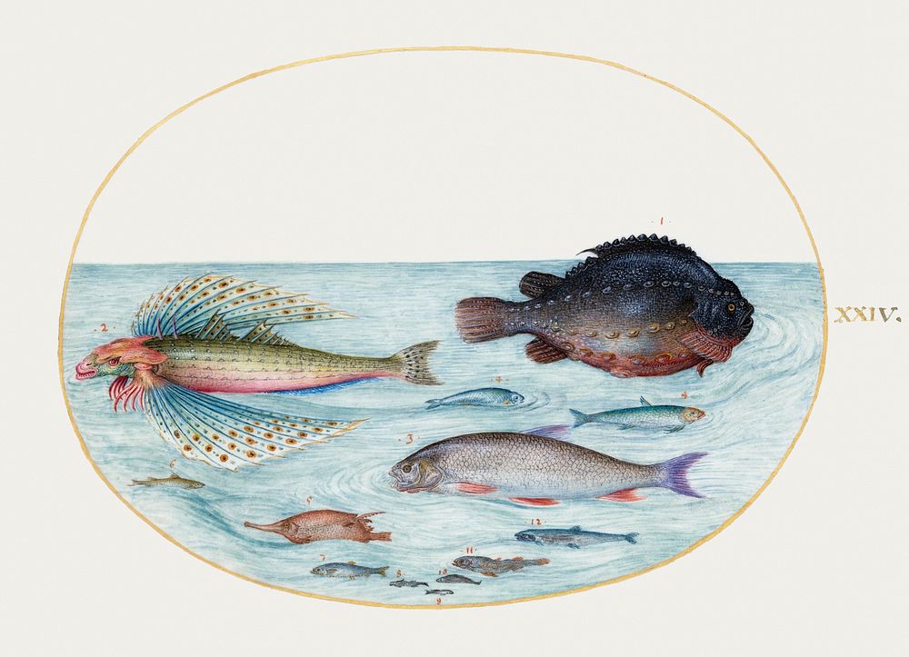 Flying Gurnard, Male Lumpsucker, Longspine Snipefish and Other Fish (1575-1580) painting in high resolution by Joris…