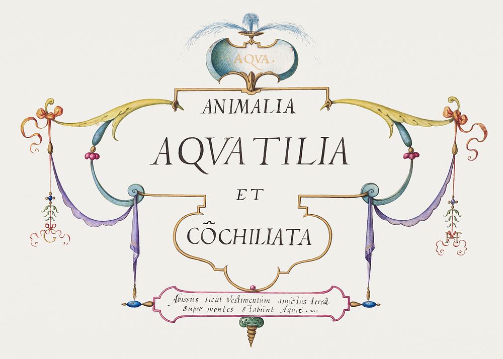 Title Page: Animalia Aqvatilia et Cochiliata (1575&ndash;1580) painting in high resolution by Joris Hoefnagel. Original from…