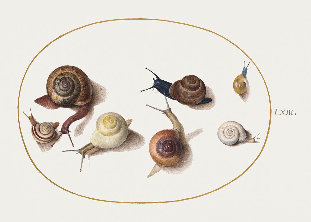 Seven Snails (1575&ndash;1580) painting in high resolution by Joris Hoefnagel. Original from The National Gallery of Art.…