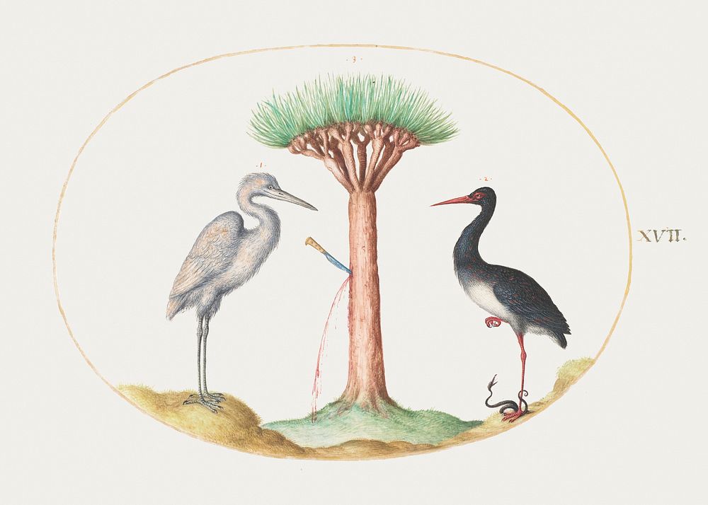 White Heron and Black Stork Killing a Snake with a Dragon's Blood Tree (1575&ndash;1580) painting in high resolution by…