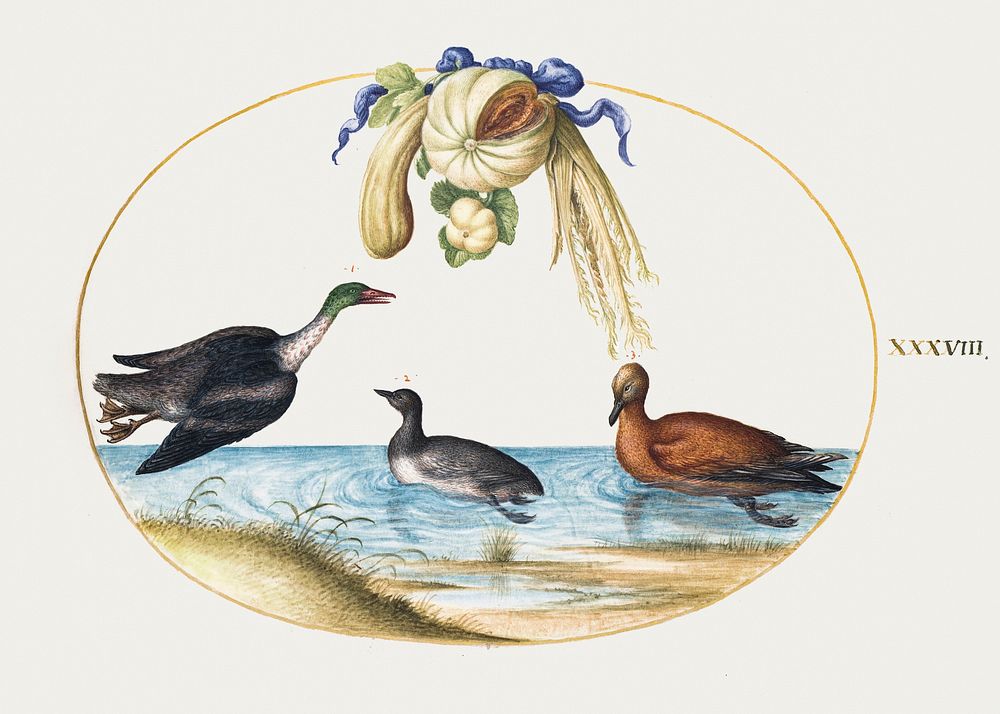 Merganser with Two Other Waterfowl and a Garland of Melons and Gourds (1575&ndash;1580) painting in high resolution by Joris…